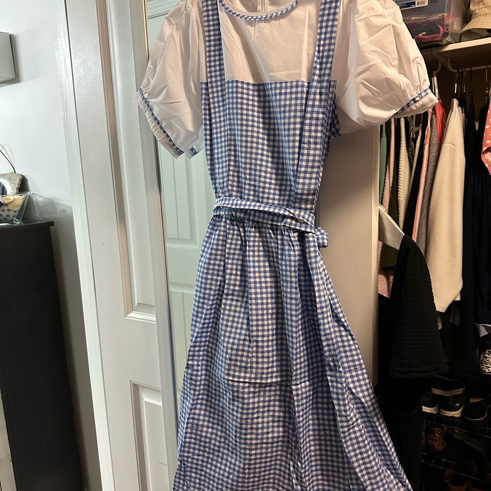 Wizard of Oz Dorothy costume
